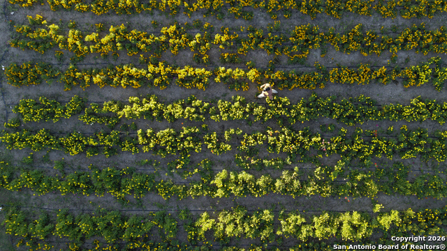 Image 19 of 40 For 13977 Ranch Road 2325