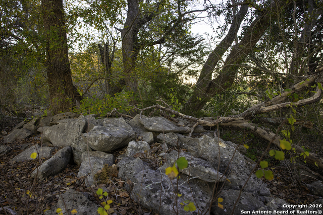 Image 24 of 40 For 13977 Ranch Road 2325