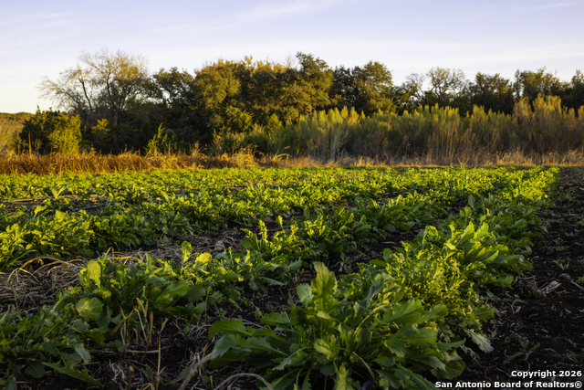 Image 28 of 40 For 13977 Ranch Road 2325