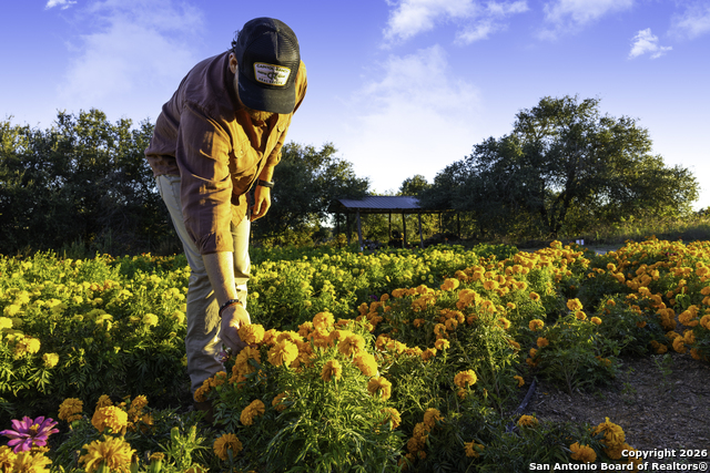 Image 37 of 40 For 13977 Ranch Road 2325
