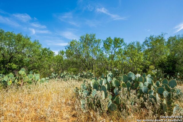 Details for Cr 732 Cr , Yancey, TX 78886