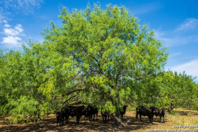 Image 2 of 6 For Cr 732 Cr  