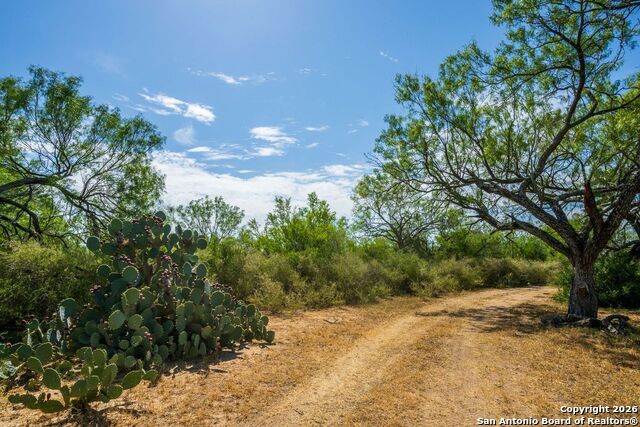 Image 5 of 6 For Cr 732 Cr  