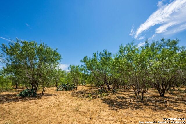 Image 3 of 6 For Fm2200 2200  