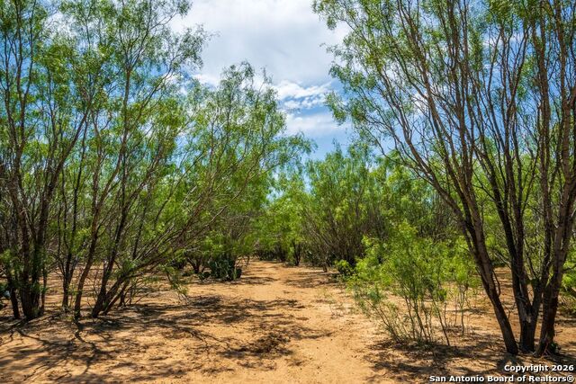 Image 4 of 6 For Fm2200 2200  