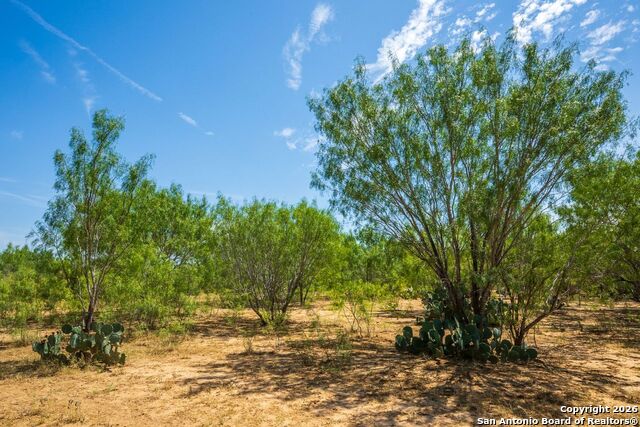 Image 5 of 6 For Fm2200 2200  