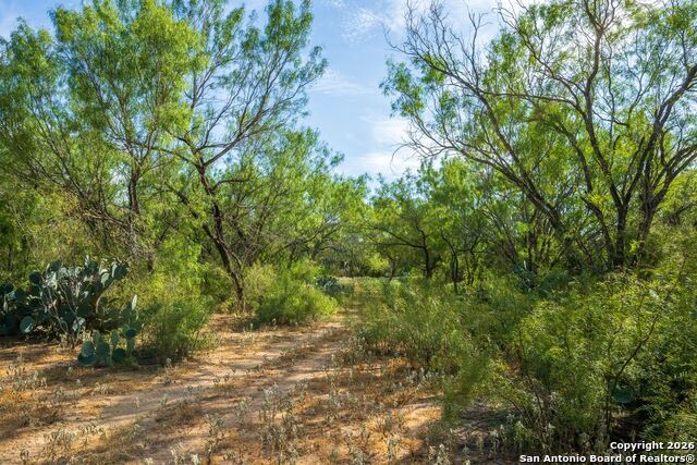 Image 6 of 6 For Fm2200 2200  