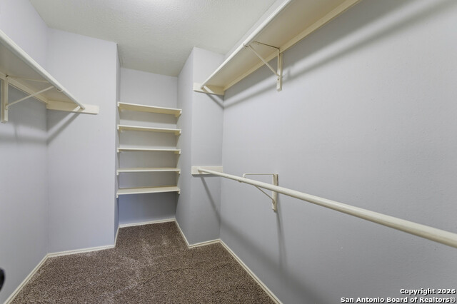 Image 12 of 29 For 7559 Beaver Tree