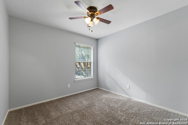 Image 17 of 29 For 7559 Beaver Tree