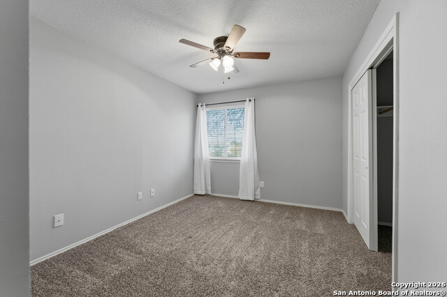 Image 19 of 29 For 7559 Beaver Tree