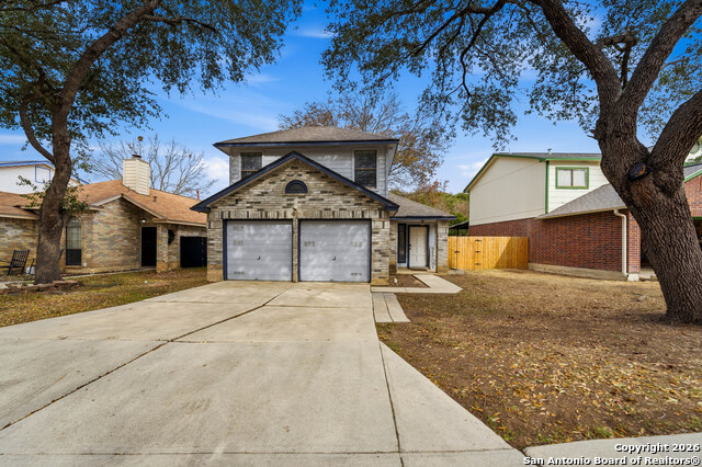 Image 24 of 29 For 7559 Beaver Tree