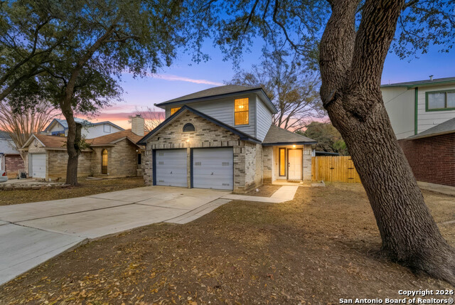 Image 26 of 29 For 7559 Beaver Tree