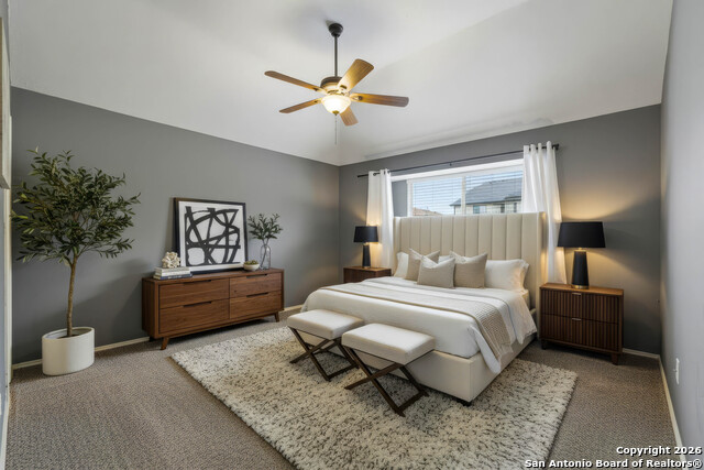 Image 28 of 29 For 7559 Beaver Tree