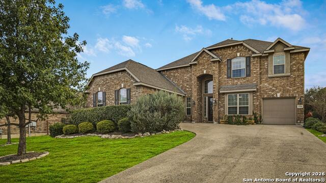 Image 2 of 42 For 3754 Tumeric