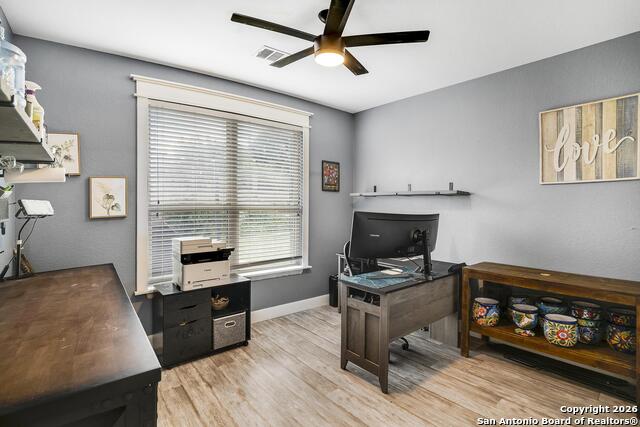 Image 23 of 42 For 3754 Tumeric