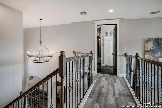 Image 25 of 42 For 3754 Tumeric