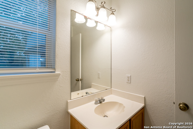 Image 11 of 28 For 2323 Boxer Palm