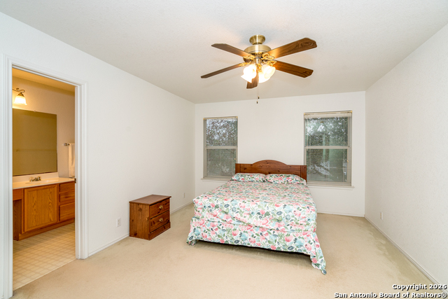 Image 12 of 28 For 2323 Boxer Palm