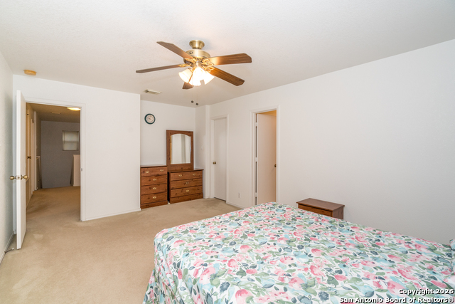 Image 13 of 28 For 2323 Boxer Palm