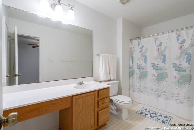 Image 15 of 28 For 2323 Boxer Palm