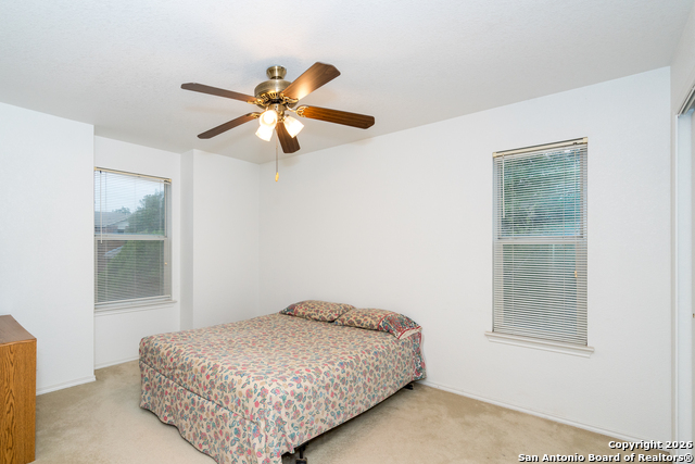 Image 17 of 28 For 2323 Boxer Palm