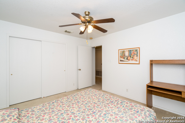 Image 18 of 28 For 2323 Boxer Palm