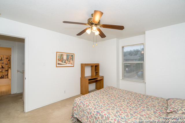 Image 19 of 28 For 2323 Boxer Palm