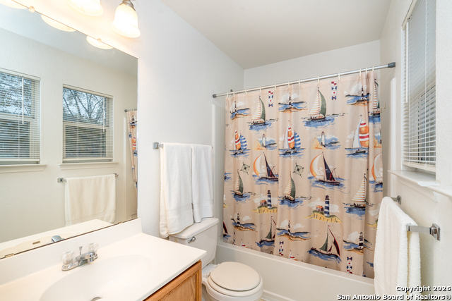 Image 20 of 28 For 2323 Boxer Palm