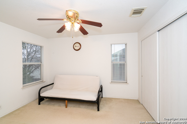 Image 21 of 28 For 2323 Boxer Palm