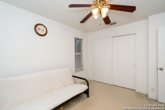 Image 22 of 28 For 2323 Boxer Palm