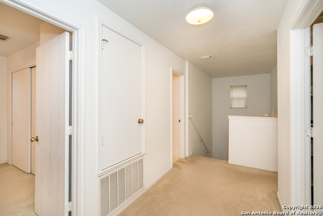 Image 23 of 28 For 2323 Boxer Palm