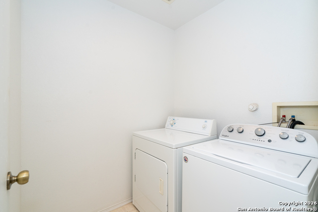 Image 24 of 28 For 2323 Boxer Palm