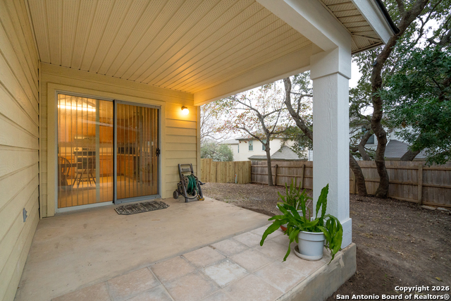 Image 26 of 28 For 2323 Boxer Palm