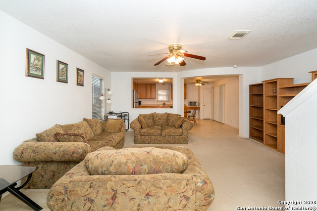 Image 4 of 28 For 2323 Boxer Palm