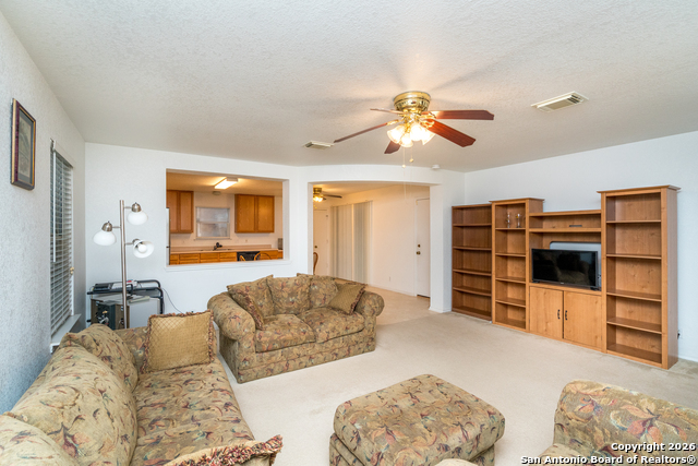 Image 5 of 28 For 2323 Boxer Palm