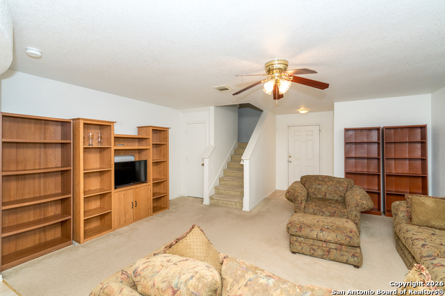 Image 6 of 28 For 2323 Boxer Palm