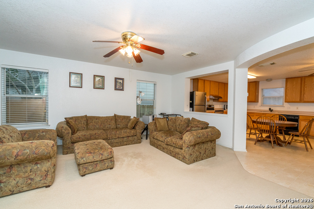 Image 7 of 28 For 2323 Boxer Palm