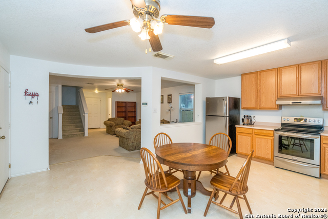 Image 8 of 28 For 2323 Boxer Palm