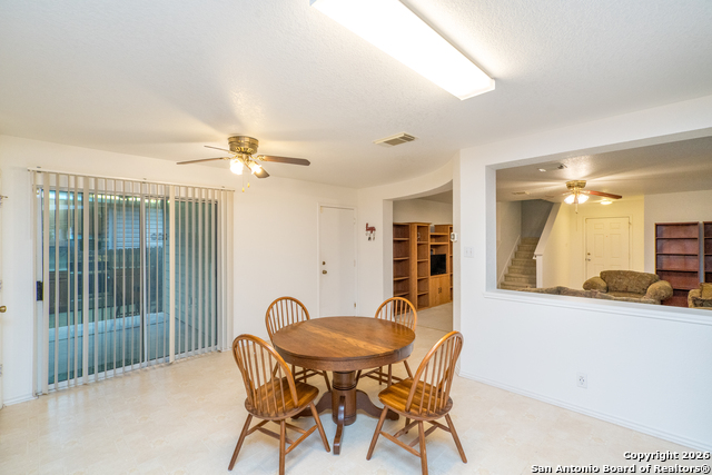 Image 9 of 28 For 2323 Boxer Palm