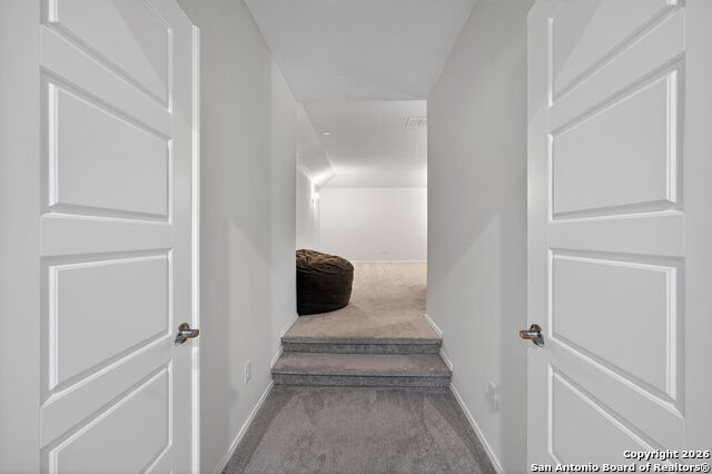 Image 28 of 41 For 12226 Cat Ballou