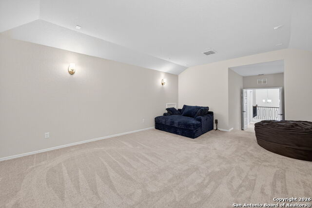 Image 30 of 41 For 12226 Cat Ballou