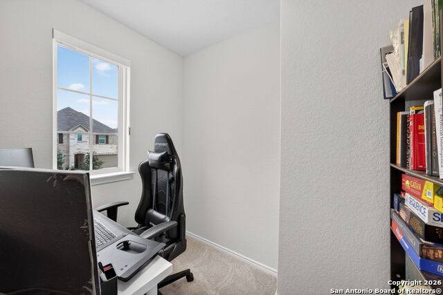 Image 31 of 41 For 12226 Cat Ballou