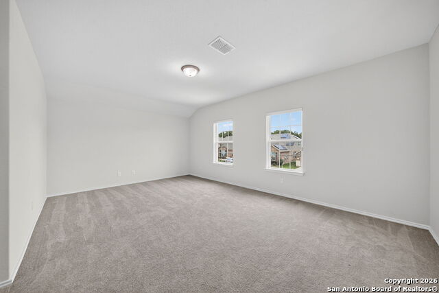 Image 32 of 41 For 12226 Cat Ballou