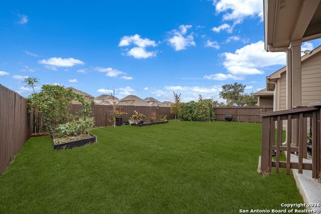 Image 37 of 41 For 12226 Cat Ballou