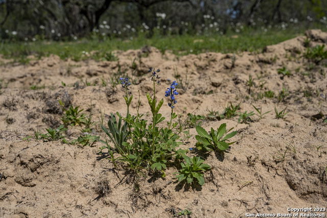 Image 25 of 37 For 2721 County Road 770