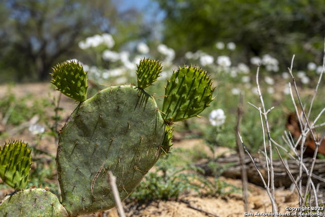 Image 27 of 37 For 2721 County Road 770