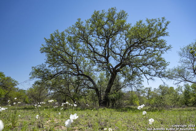 Image 28 of 37 For 2721 County Road 770