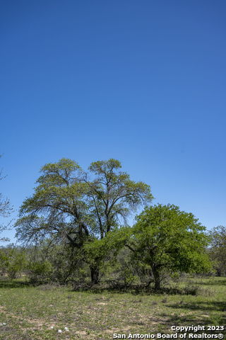 Image 29 of 37 For 2721 County Road 770