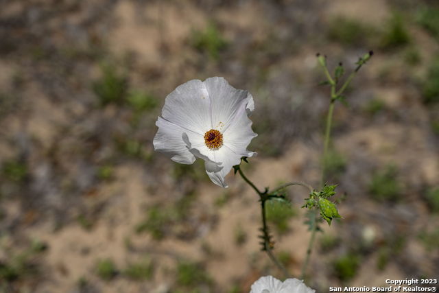 Image 30 of 37 For 2721 County Road 770