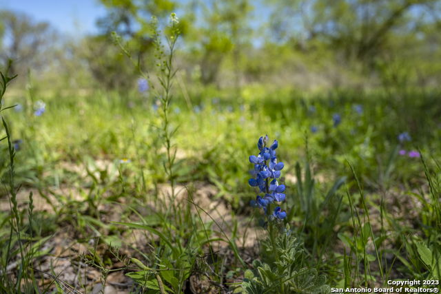 Image 32 of 37 For 2721 County Road 770
